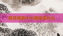 男孩相亲十大要求是什么