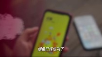 你以为闲鱼只卖二手？错，那是中国人的"办事捷径大全"
