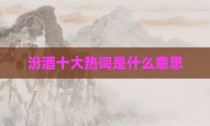 汾酒十大热词是什么意思
