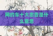 网约车十大忠告是什么意思