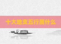 十大地支五行属什么