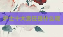 护士十大责任是什么呢
