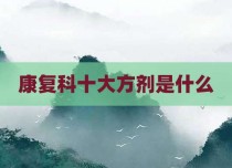 康复科十大方剂是什么