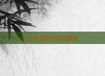 十大退役中后卫球星