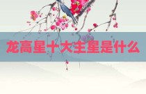 龙高星十大主星是什么