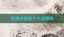 爱康水管是十大品牌吗