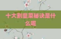 十大割韭菜秘诀是什么呢