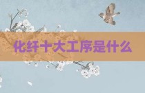 化纤十大工序是什么