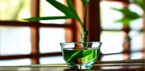 竹叶青是十大名酒吗