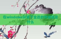 在windows环境下全选的快捷键是什么
