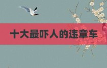 十大最吓人的违章车