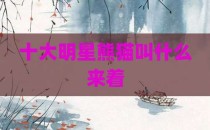十大明星熊猫叫什么来着