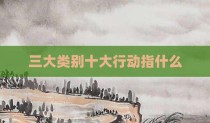 三大类别十大行动指什么