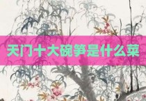天门十大碗笋是什么菜