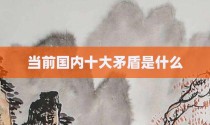 当前国内十大矛盾是什么