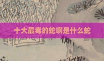 十大最毒的蛇啊是什么蛇
