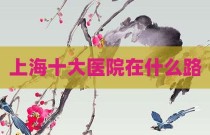 上海十大医院在什么路