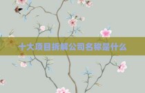十大项目拆解公司名称是什么