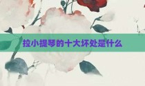 拉小提琴的十大坏处是什么