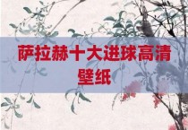 萨拉赫十大进球高清壁纸