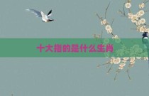 十大指的是什么生肖