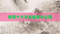 央视十大片头曲是什么歌