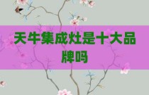 天牛集成灶是十大品牌吗
