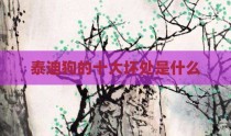 泰迪狗的十大坏处是什么