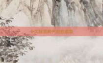 十大投资房产排名最新