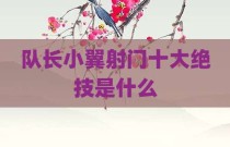 队长小翼射门十大绝技是什么