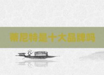 蒂尼特是十大品牌吗