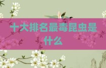 十大排名最毒昆虫是什么