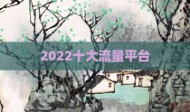 2022十大流量平台