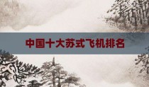中国十大苏式飞机排名