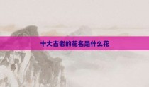 十大古老的花名是什么花