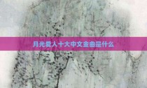月光爱人十大中文金曲是什么