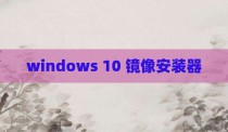 windows 10 镜像安装器