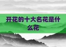 开花的十大名花是什么花