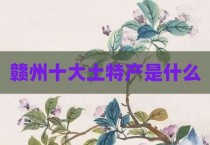 赣州十大土特产是什么