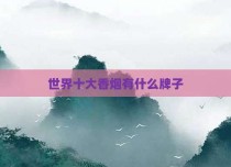 世界十大香烟有什么牌子
