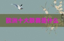 欧洲十大联赛是什么