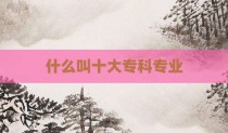 什么叫十大专科专业