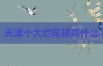 天津十大烂尾楼叫什么