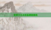 世界十大水杯品牌防摔吗