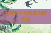 火箭的十大引援力度大吗