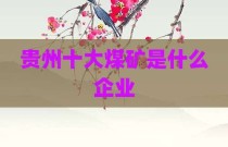 贵州十大煤矿是什么企业