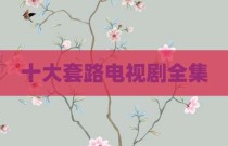十大套路电视剧全集