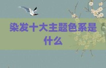 染发十大主题色系是什么