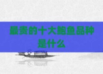 最贵的十大鲍鱼品种是什么