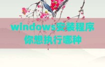 windows安装程序你想执行哪种